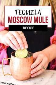 Mexican Mule Cocktail Recipe Video Recipe Video Ginger Beer Cocktail Recipes Mexican Mule