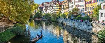 Studium Fachschaft Molekulare Medizin Tubingen