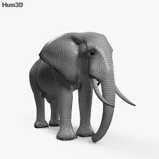 3d Model Of African Elephant Hd African Elephant Elephant 3d Model