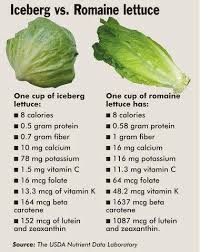 Iceberg Vs Romaine Lettuce In 2019 Lettuce Nutrition