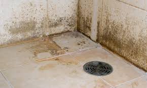 Painting over mold you can paint over mold in a bathroom, but the problem will return without killing the roots of the fungus first, using the right cleaner. 19 Tips To Get Rid Of Black Mold In The Bathroom