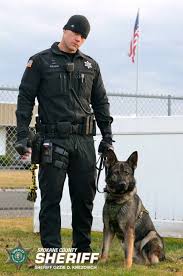 Gorgeous Team I Want The One On The Right Military Working Dogs Military Dogs K9 Police Dogs