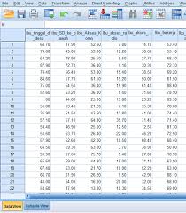 Check spelling or type a new query. Contoh Soal Spss Dan Penyelesaiannya Pdf Contoh Soal Terbaru