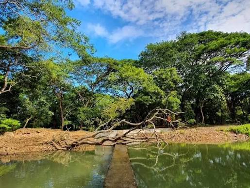 Sanjay Gandhi National Park Mumbai Timings Safari Entry Fee