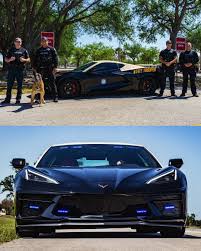 Image result for Tan 2023 Fleet