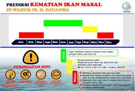 Kematian Massal Ikan Keramba Jaring Apung Apa Penyebabnya Republika Online