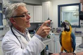 Type in your zipcode to find exotic animal vets near you. Exotic Animal Veterinarian Near Me Off 64 Www Usushimd Com