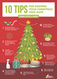 Try getting an artificial tree so your cat can't ingest sap, tree water or pine needles, which can cause nausea, vomiting, skin irritation or injury to the stomach. 10 Tips For Keeping Your Dog Away From Your Christmas Tree