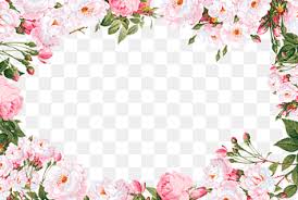 Pink and white flower border png. Flower Border Png Images Pngegg