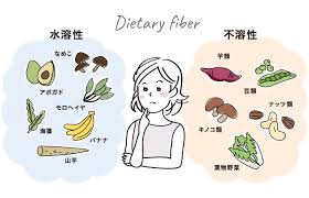 食物繊維