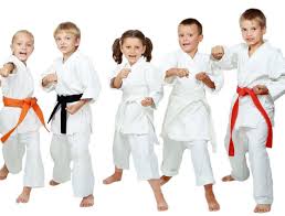 Fit Kid Free Kid Martial Arts Karate Classes For Kids Kids Karate Karate Classes