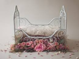 We did not find results for: Newborn Digital Backdrops Photo Backgrounds