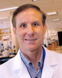 USF Health News Archives » USF study: Mystery ingredient in coffee boosts  protection against Alzheimer's disease