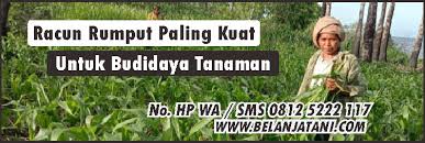 Adalah senyawa tertentu yang memiliki sifat untuk meracuni / membuat mati tanaman. Racun Rumput Paling Kuat Untuk Budidaya Tanaman