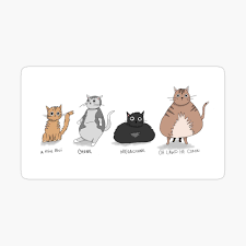 Cat Chonk Scale Sticker for Sale by marcum | Redbubble