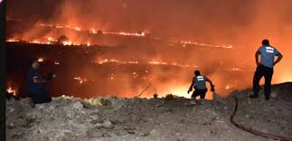 Die verteidigungsministerin ist zum ersten mal zu besuch in ankara. Turkische Ferienregion Ubersteht Waldbrand Nachrichten
