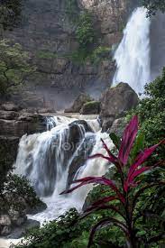 The problem is to just choose which side, and how… Waterfall In A Ciletuh Palabuhanratu Geopark West Java Indonesia Outdoor Background Stock Photo 473050064