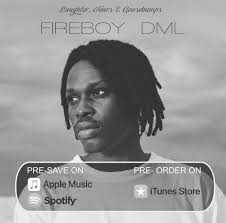 Fireboy Dml What If I Say Laughter Goosebumps Feelings