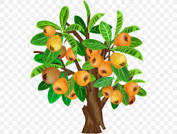 0% ( votes) step 1. Fruit Tree Java Apple Png 541x620px Fruit Tree Branch Drawing Flowerpot Food Download Free