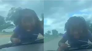 Ewoks on halloween sections show more follow today ewoks on halloween © 2021 nbc universal Parents Gone Wild Bebe Beehive