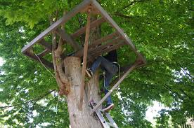 Photo by molly stevens, creative commons. How To Build A Treehouse In 11 Simple Steps Lawnstarter