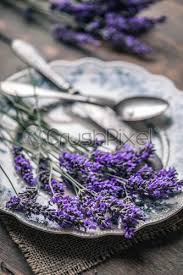 Lavender flora florist offers premium flower, hamper, gift, souvenir deliveries in kuching, sarawak. Fresh Lavender Flowers Stock Photo Crushpixel