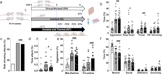Opposite of full of aggression or hostility opposite of behaving or done in a determined and what is another word for aggressive? Oxytocin And Vasopressin Within The Ventral And Dorsal Lateral Septum Modulate Aggression In Female Rats Nature Communications