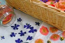 Flower drying has never been easier thanks to actíva® flower drying art™ silica gel and your trusty microwave! How To Press Flowers With A Microwave