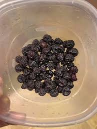 Image result for Dark Wineberry 1993 FLSTF