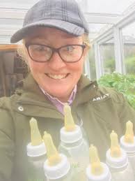 What are efficient ways to feed a larger group of bum lambs?