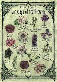 Darker Flowers Print Poison Garden Language Of The Flowers Dark Flowers Poison Garden Witch Garden