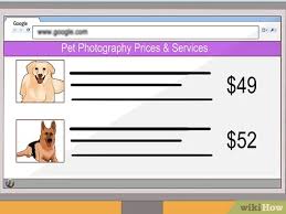 Such photographers are the ones on their way to becoming true masters in this sphere. 3 Ways To Start A Pet Photography Business Wikihow