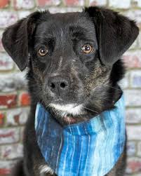 The Bayleeadami Leaks: Unmasking The Truth - LeakLab