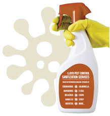 We have experience safely and effectively removing pests, big and small, from both homes and businesses. Lloyd Pest Control Residential And Commercial Exterminators