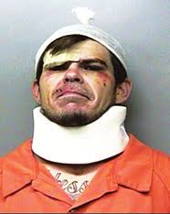 Hodges Park renovation