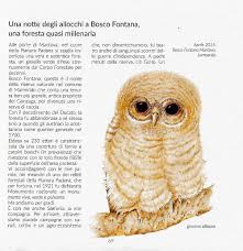 Storie Di Gufi Stefano Torriani Marco Mastrorilli Noctua