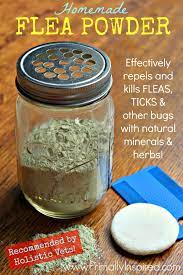 Homemade Flea Powder Flea Powder For Dogs Flea Powder Flea Remedies
