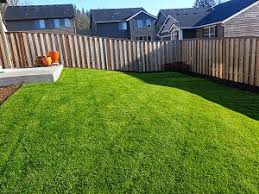 Follow our expert advice on keeping lawn grass in peak condition. Lawn Mowing Urban Eden Landscaping