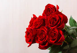 La rosa rossa simboleggia l'amore e la passione. Bouquet Di Rose Rosse Per San Valentino Foto Gratis