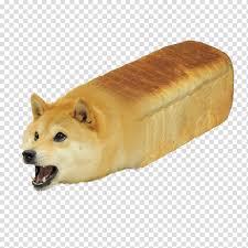 Dogecoin is a cryptocurrency favored by shiba inus worldwide. Shiba Inu Dogecoin Gif Internet Meme Egypt Dog Transparent Background Png Clipart Hiclipart