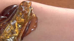 Rub the fabric a few times firmly (in the direction of the growth). Diy Sugaring Wax Recipe And Tutorial Youtube