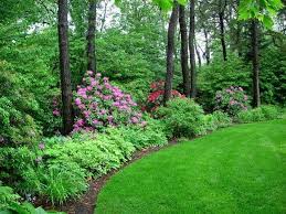 A Cool Quiet Corner Of The World Gallery Garden Design In 2020 Wooded Backyard Landscape Backyard Landscaping Designs Wooded Landscaping