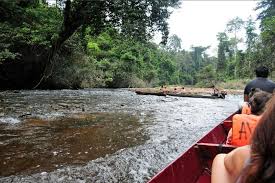 As mentioned before kuala koh was closed for maintenance. Kelantan Malaysia Track