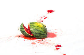 We placed the card table on the driveway so we could easily hose off the explosion mess and the kids! Can You Explode The Watermelon