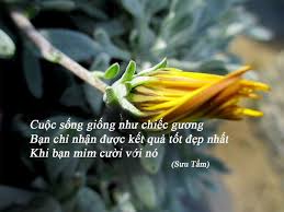 Káº¿t quáº£ hÃ¬nh áº£nh cho DANH NGON HINH ANH GIOI TRE