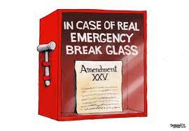 Trump's speech wednesday was not just unpresidential but reckless. Isn T It Time To Invoke The 25th Amendment Reader Commentary Baltimore Sun