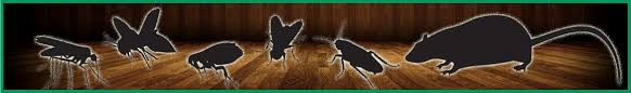 Effectively removing an entire population of pests on your property is not easy. Home Catsusa Pestcontrol California