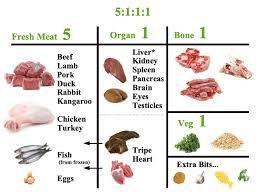 Raw diets for puppies and seniors. Diy Raw Dog Food Dogsfirstireland Raw Dog Food