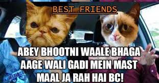 11 Funniest Bakchod Billi Memes Of March 2016 First Week Gagnam Memes Funny Facebook Humor