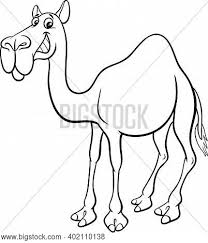 Find illustrations of cartoon camel. Camel Cartoon In Black And White Images Illustrations Vectors Free Bigstock